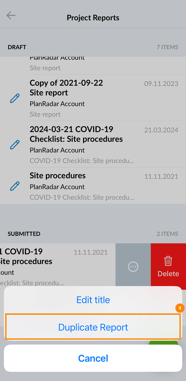 Duplicate Report.png