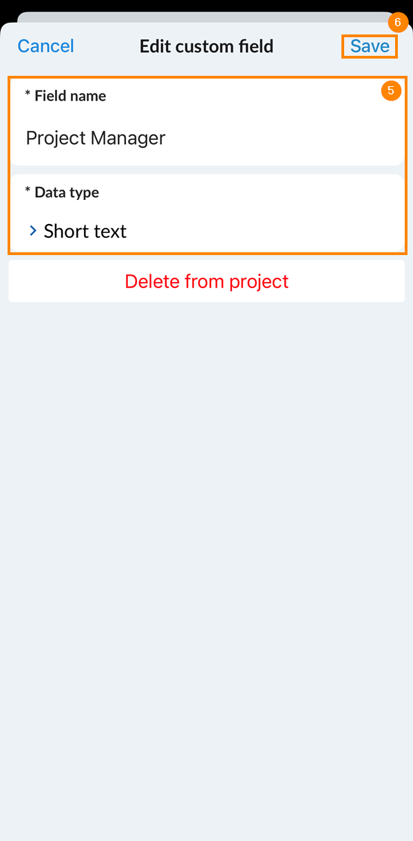 Edit Custom Details.png