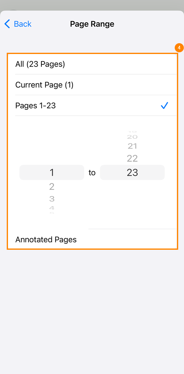 Select Pages.png